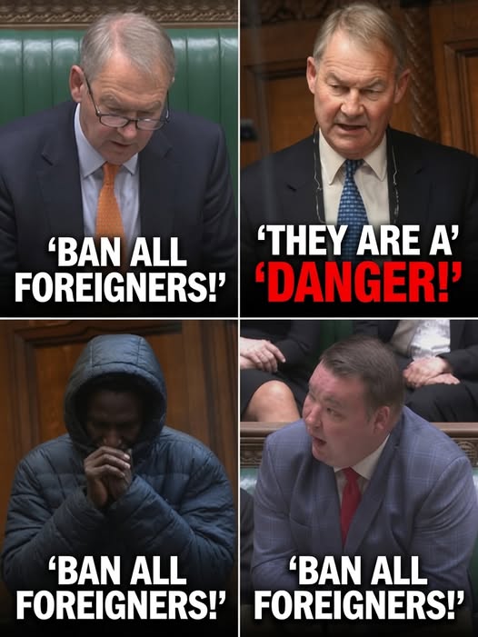 HOW MUCH LONGER CAN BRITAIN TURN ABLIND EYE?” Rupert Lowe’s Westminster Speech Reignites Fierce National Debate Over Migration and Public Safety