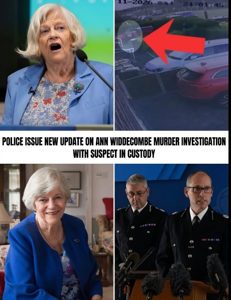 “The Camera Caught Everything”: Ring Doorbell Footage Reportedly Becomes Key Evidence in the Ann Widdecombe Investigation