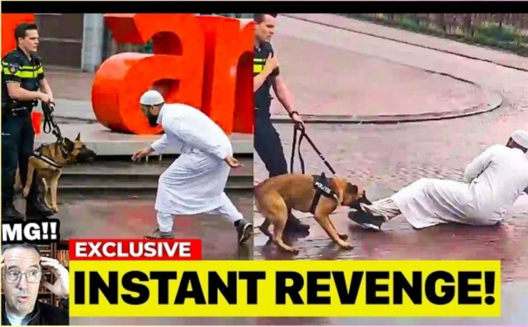 Viral Street Confrontation Involving Security Dog Sparks Nationwide Debate Over Public Safety and Use of Force