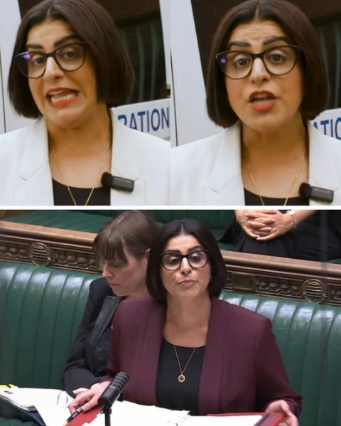 UK Home Secretary Shabana Mahmood is facing fierce public pushback after releasing a video defending the government’s approach to the ongoing small boat crisis.