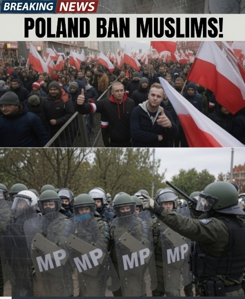 WHY POLAND’S APPROACH TO IMMIGRATION CONTINUES TO DIVIDE OPINION ACROSS EUROPE