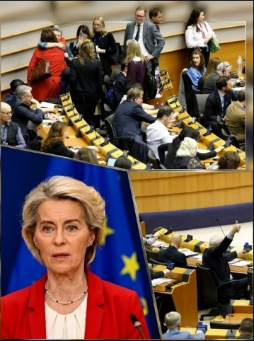 The European Parliament Erupted as One Vote Divided the Continent.
